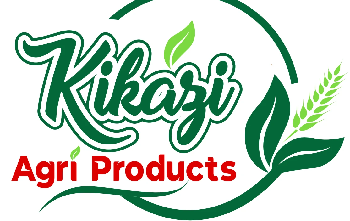 Kikazi